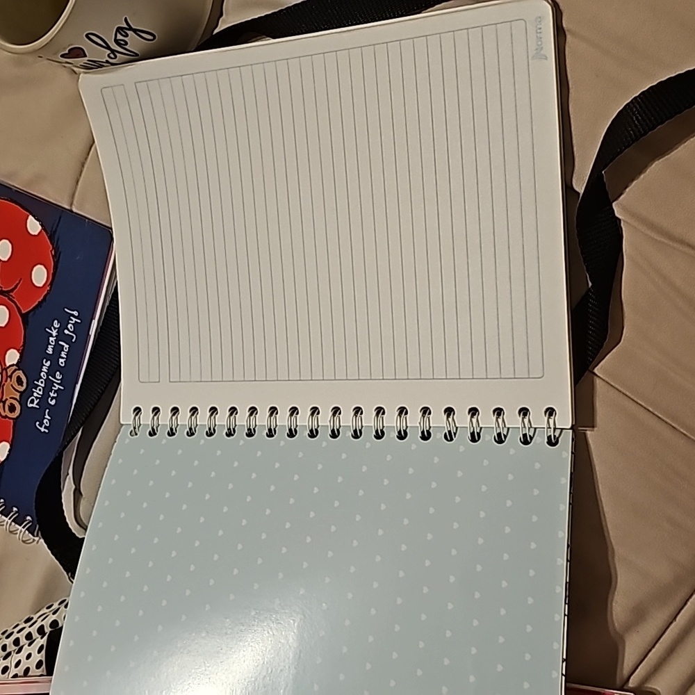Hello Kitty Notebook - Picture 4 of 4